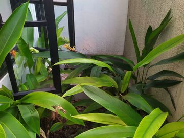 598. Dijual Rumah Mewah 2 Lantai M. Kahfi 1 Jakarta Selatan Dekat Tol Brigif Andara & TB Simatupang