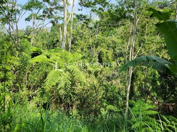 DIJUAL TANAH 1 HEKTAR DI TARO, GIANYAR