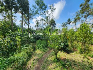 DIJUAL TANAH 1 HEKTAR DI TARO, GIANYAR