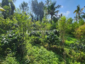 DIJUAL TANAH 1 HEKTAR DI TARO, GIANYAR