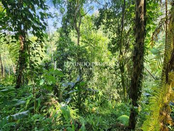 DIJUAL TANAH 1 HEKTAR DI TARO, GIANYAR