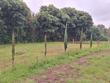 Se vende terreno en Chamilpa Cuernavaca