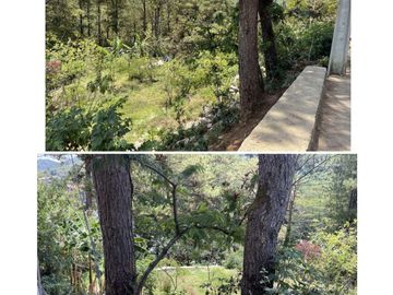 2,581sqm Lot For Sale in La Trinidad Benguet - LSS