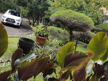 RUMAH BINTARO RIVER PARK, BINTARO JAYA SEKTOR 8, TANGSEL