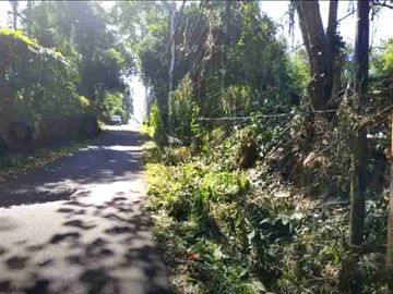 Tanah Murah Dibawah Harga Pasar Pantai Saba Gianyar
