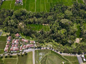 tegalalang deket ubud. 1.55 hektar termurah
