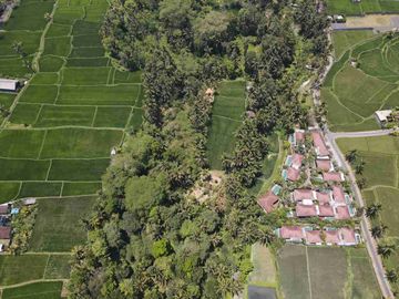 tegalalang deket ubud. 1.55 hektar termurah