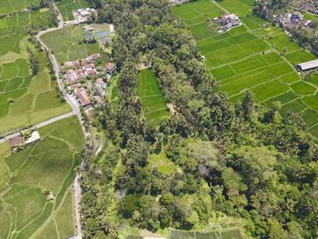 tegalalang deket ubud. 1.55 hektar termurah