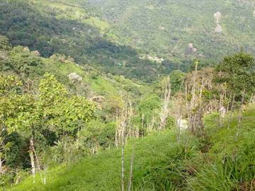 GRAN OPORTUNIDAD FINCA DE 7 HECTÁREAS SIN CASA A 20 MINUTOS DE BITUIMA-CUNDINAMARCA.