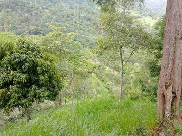 GRAN OPORTUNIDAD FINCA DE 7 HECTÁREAS SIN CASA A 20 MINUTOS DE BITUIMA-CUNDINAMARCA.