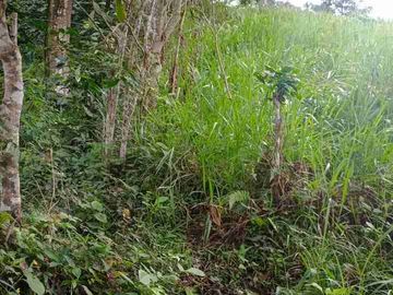 GRAN OPORTUNIDAD FINCA DE 7 HECTÁREAS SIN CASA A 20 MINUTOS DE BITUIMA-CUNDINAMARCA.