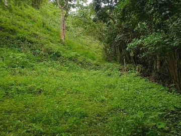 GRAN OPORTUNIDAD FINCA DE 7 HECTÁREAS SIN CASA A 20 MINUTOS DE BITUIMA-CUNDINAMARCA.