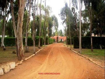 TERRENO EN VENTA EN EL CONDOMINIO EL OLIVAR – PRECIO DE OPORTUNIDAD