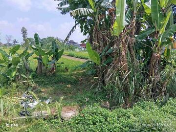 Disewakan Tanah 280m Wedomartani
