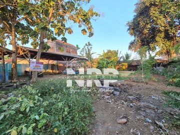 Dijual Tanah Murah Akses mudah Hook 100 Jutaan di Kebalenan Banyuwangi