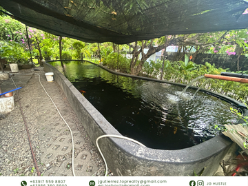 FOR SALE: Multi-Family Compound in New Manila, Quezon City