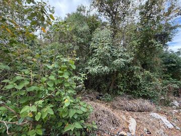 Terreno en venta sobre 31 sur col ejidal playa del carmen