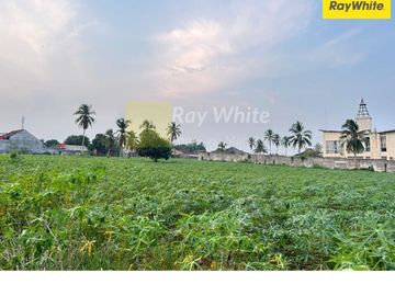 Dijual Tanah di Seputih jaya, Gunung Sugih, Lampung Tengah (Kode MH-HN 3609)
