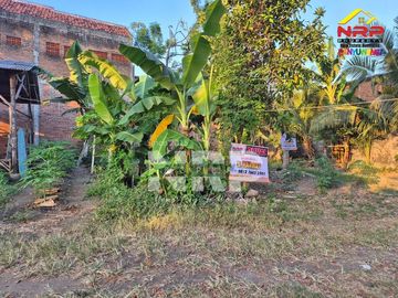 Dijual Tanah Murah Akses mudah 100 Jutaan di Kebalenan Banyuwangi
