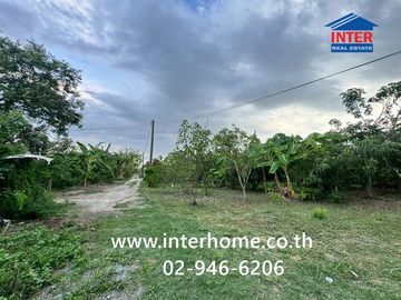 Land + 1-story house with garden, 400 sq.wa. (approx. 1600 sq.m.), near PTT gas station, Nong Pherangai, Nonthaburi, on Sai Noi-Wat Ton Chuek Road, al