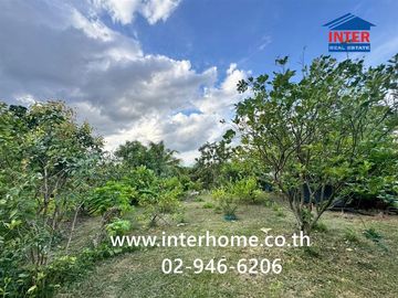 Land + 1-story house with garden, 400 sq.wa. (approx. 1600 sq.m.), near PTT gas station, Nong Pherangai, Nonthaburi, on Sai Noi-Wat Ton Chuek Road, al