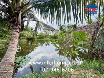 Land + 1-story house with garden, 400 sq.wa. (approx. 1600 sq.m.), near PTT gas station, Nong Pherangai, Nonthaburi, on Sai Noi-Wat Ton Chuek Road, al