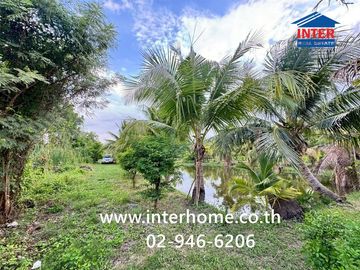 Land + 1-story house with garden, 400 sq.wa. (approx. 1600 sq.m.), near PTT gas station, Nong Pherangai, Nonthaburi, on Sai Noi-Wat Ton Chuek Road, al
