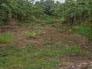 Dijual Tanah Kemang
