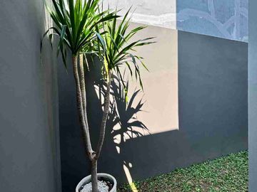 RUMAH MEWAH 2 LANTAI MODERN DI NGESTIHARJO KASIHAN BANTUL DEKAT ALUN-ALUN SELATAN