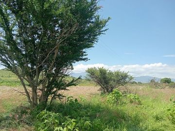 TERRENO 2130 M2 TLACOCHAHUAYA OAXCA