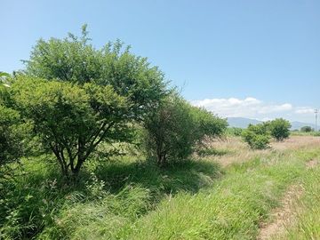 TERRENO 2130 M2 TLACOCHAHUAYA OAXCA