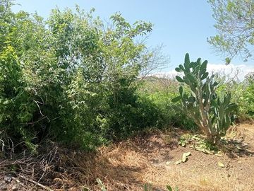 TERRENO 2130 M2 TLACOCHAHUAYA OAXCA