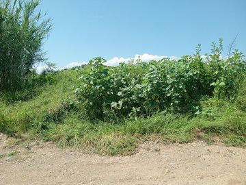 TERRENO 2130 M2 TLACOCHAHUAYA OAXCA