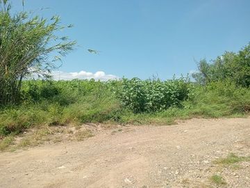 TERRENO 2130 M2 TLACOCHAHUAYA OAXCA