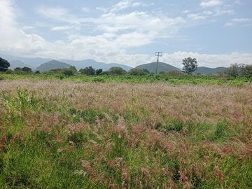 TERRENO 2130 M2 TLACOCHAHUAYA OAXCA
