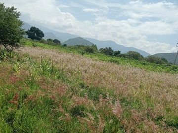 TERRENO 2130 M2 TLACOCHAHUAYA OAXCA