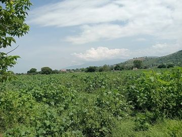 TERRENO 2130 M2 TLACOCHAHUAYA OAXCA