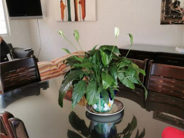 CASA EN VENTA EN JARDINES DE VILLAS DE QUERETARO, QUERETARO.