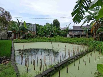 Jual Cepat Tanah Luas 444m2, Samping Kanal Borong Raya. SHM Pondasi Keliling