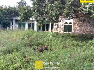 Di Jual Tanah dan Bangunan