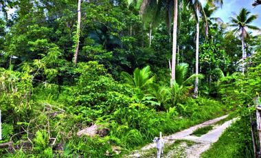 Agricultura/ Residential Lot for sale