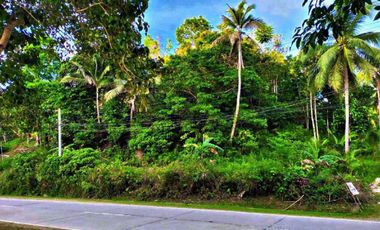 Agricultura/ Residential Lot for sale