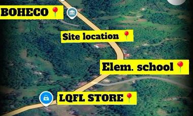 Agricultura/ Residential Lot for sale