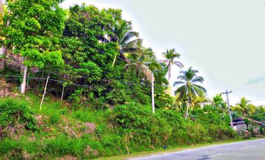 Agricultura/ Residential Lot for sale