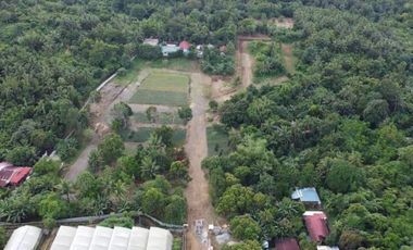 Residential Lot For Sale in Pajo Alfonso Cavite-MC