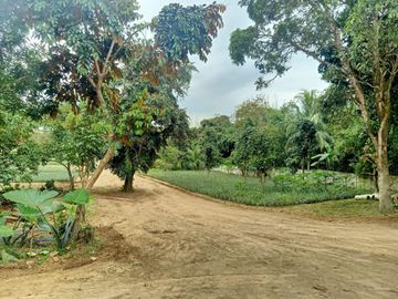 Residential Lot For Sale in Pajo Alfonso Cavite-MC