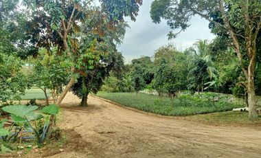 Residential Lot For Sale in Pajo Alfonso Cavite-MC