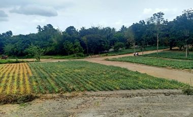 Residential Lot For Sale in Pajo Alfonso Cavite-MC