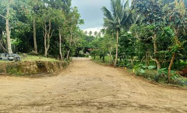Residential Lot For Sale in Pajo Alfonso Cavite-MC