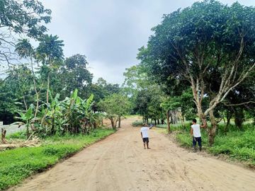 Residential Lot For Sale in Pajo Alfonso Cavite-MC